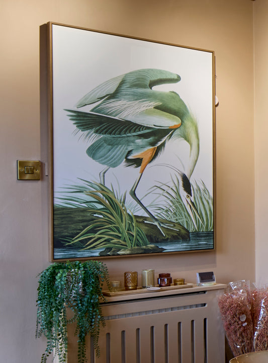 Green Crane in Reeds Picture