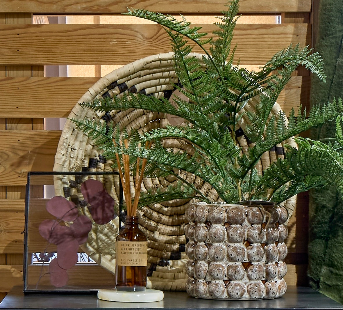 Bracken Fern Plant in Grey Cement Pot