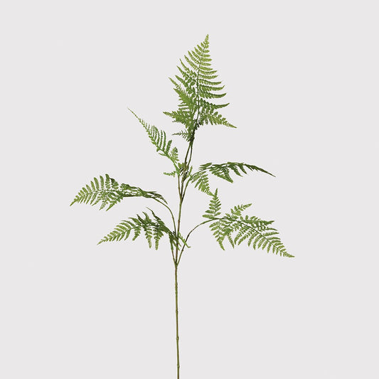 Asparagus Fern Spray
