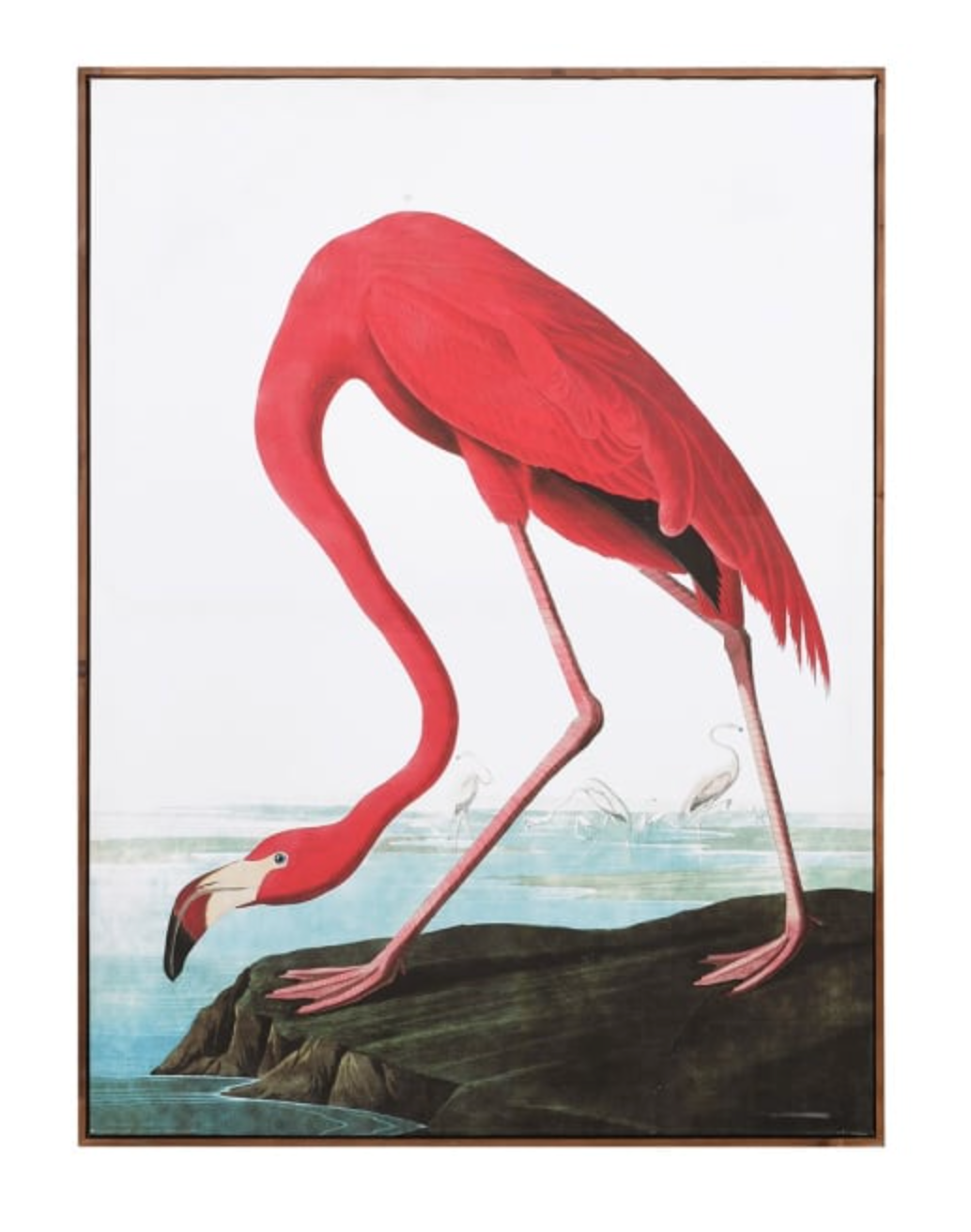 Pink Flamingo Picture
